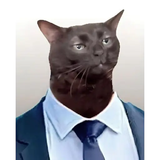 Figurinha: Gato de terno