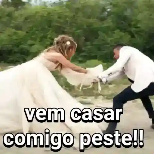 Figurinha: Vem casar comigo peste!!