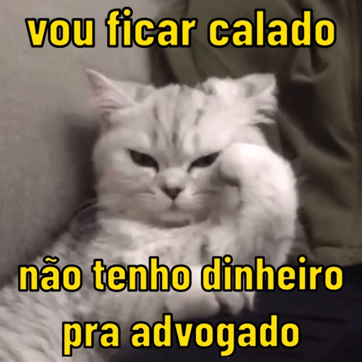 Sticker: Quiet cat, no money for a lawyer