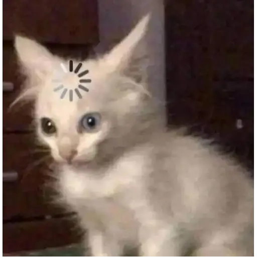 Figurinha: Gatinho carregando