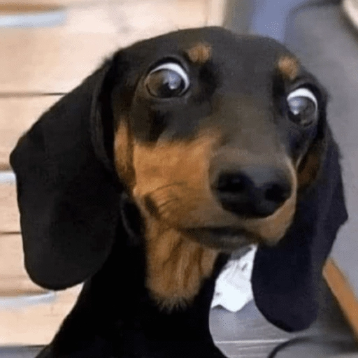 Figurinha: Cachorro assustado