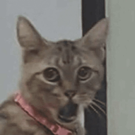 Figurinha: Gato Chocado