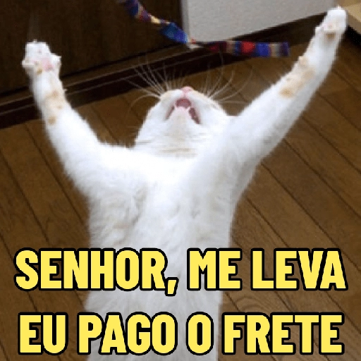 Figurinha: Gato pedindo para ser levado