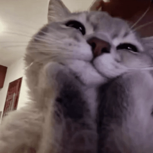 Figurinha: Gato Fofinho