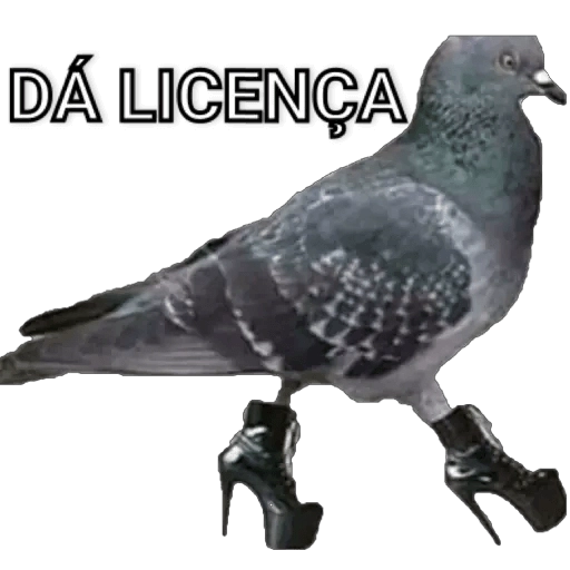Figurinha: Pombo de salto alto