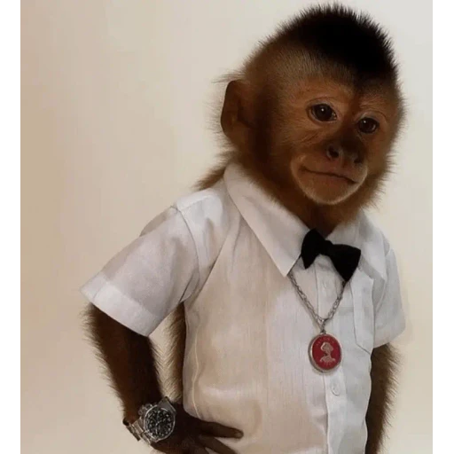 Figurinha: Macaco de Terno