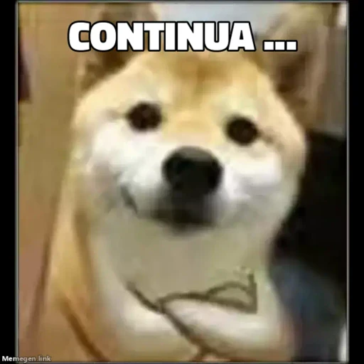 Figurinha: Cachorro Fofo com Texto 'Continua'