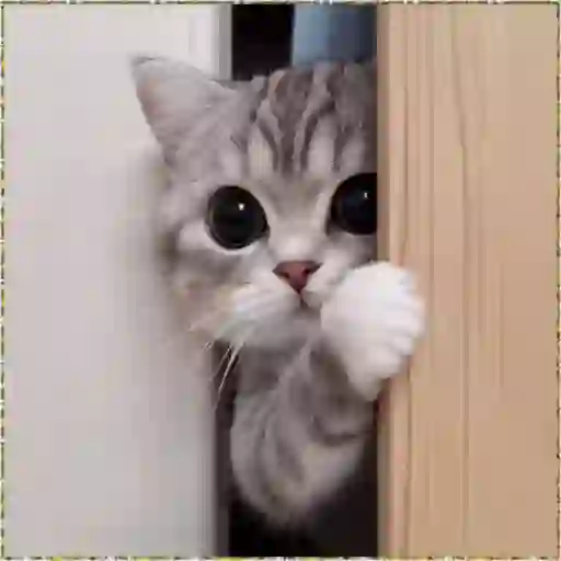 Figurinha: Gatinho fofo espiando