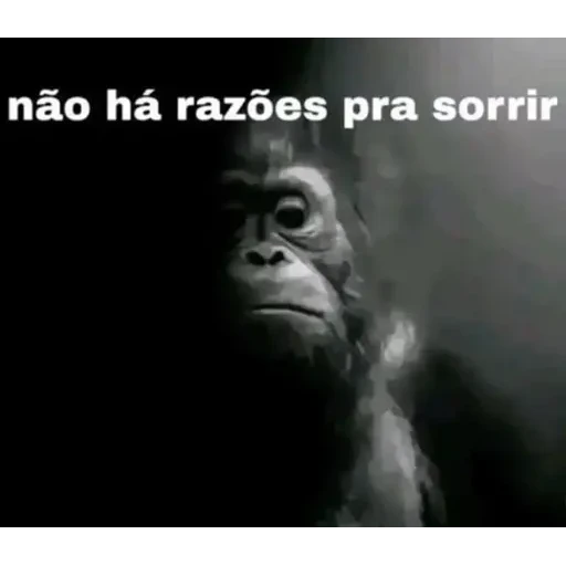 Figurinha: Macaco diz não há razões pra sorrir
