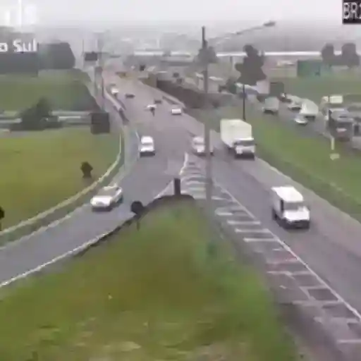 Figurinha: Papagaio invadindo a câmera
