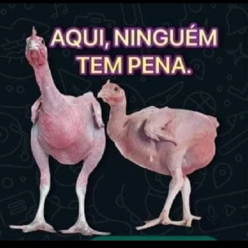 Figurinha: Aqui Ninguém Tem Pena