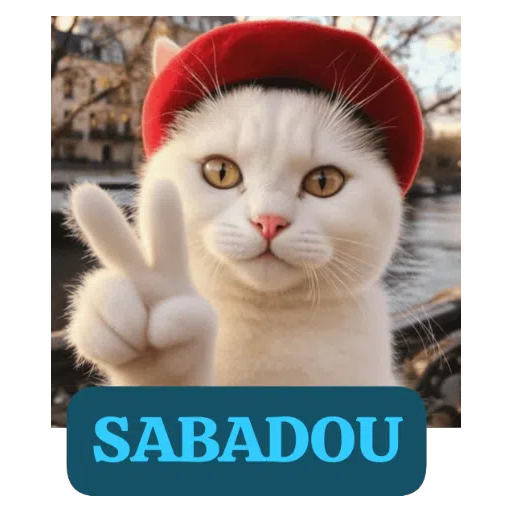 Sticker: Saturday Kitty