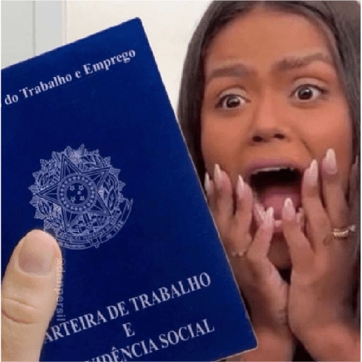 Figurinha: Carteira de Trabalho Nova!