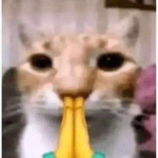 Figurinha: Gato rezando