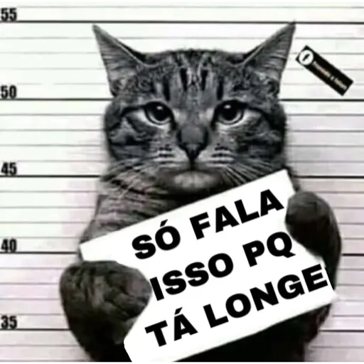 Figurinha: Gato bandido