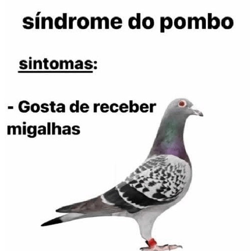 Figurinha: Síndrome do pombo