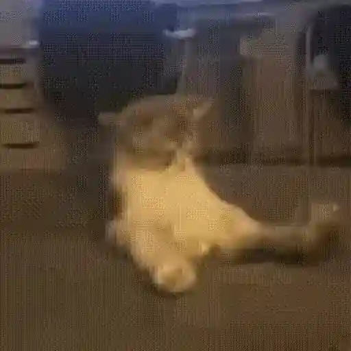Figurinha: Gato com rabo duro
