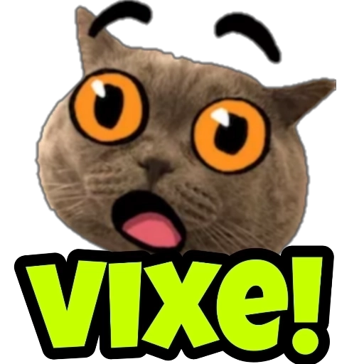 Figurinha: Gato "Vixe!"