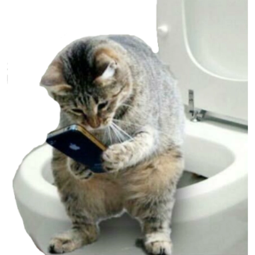 Figurinha: Gato no vaso com celular
