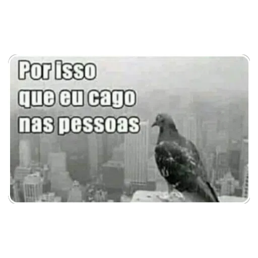 Figurinha: Pombo cagando nas pessoas