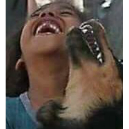 Figurinha: Criança rindo com um cachorro lambendo