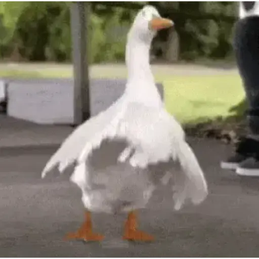 Figurinha: Pato dançando engraçado