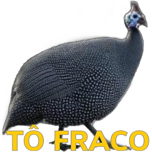 Figurinha: Guiné To fraco