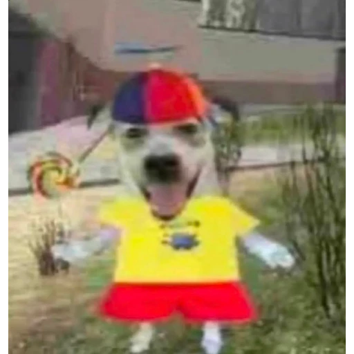 Figurinha: Cachorro do Caillou