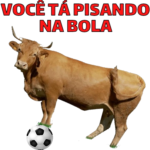 Figurinha: Você tá pisando na bola