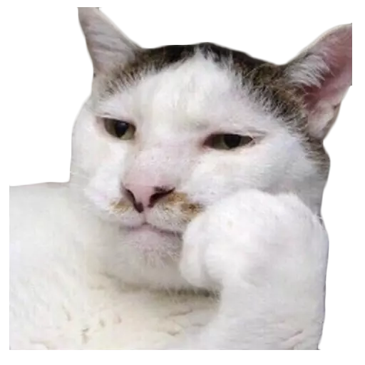 Figurinha: Gato pensativo