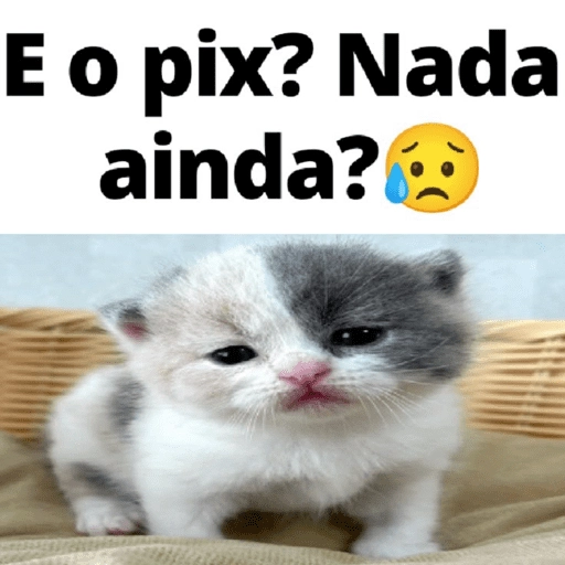 Figurinha: E o pix? Nada ainda?