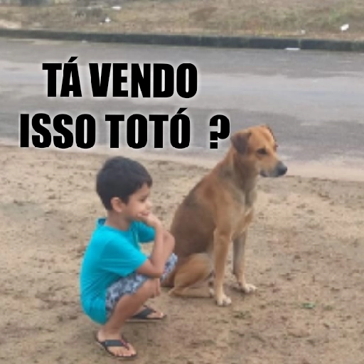 Figurinha: Menino mostra algo pro cachorro