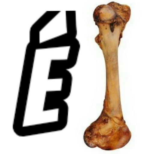 Figurinha: É Osso