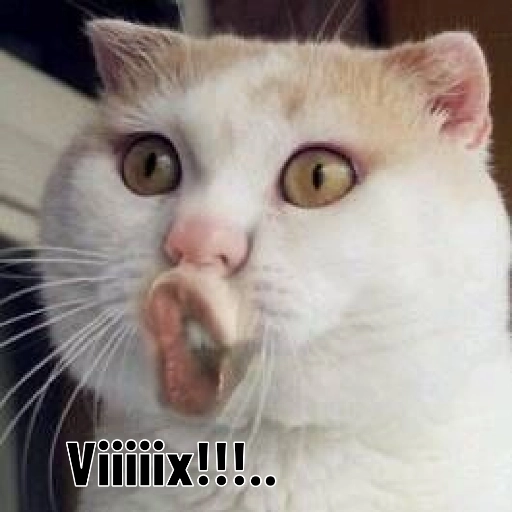 Figurinha: Gato vixe