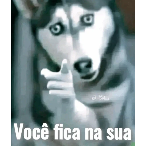 Figurinha: Cachorro mandando ficar na sua