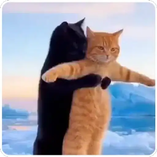 Figurinha: Gatos recriando cena do Titanic