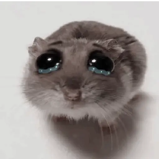 Figurinha: Hamster Chorando Fofo