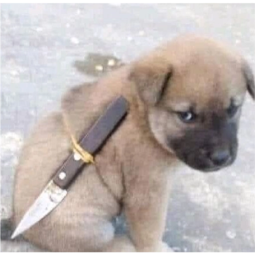 Figurinha: Cachorro com faca nas costas