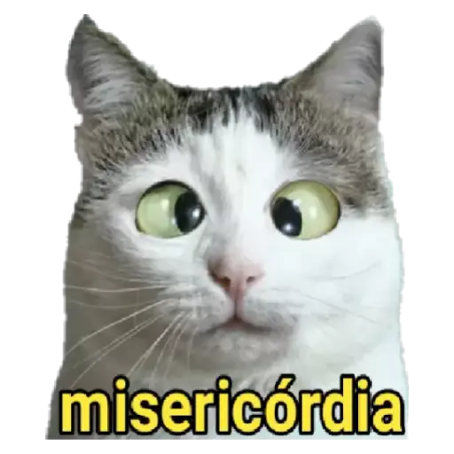 Figurinha: Gato assustado com Misericórdia