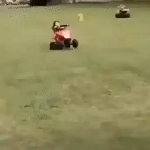 Figurinha: Corrida de Carrinho de Cortador de Grama