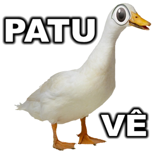 Figurinha: Patu Ve