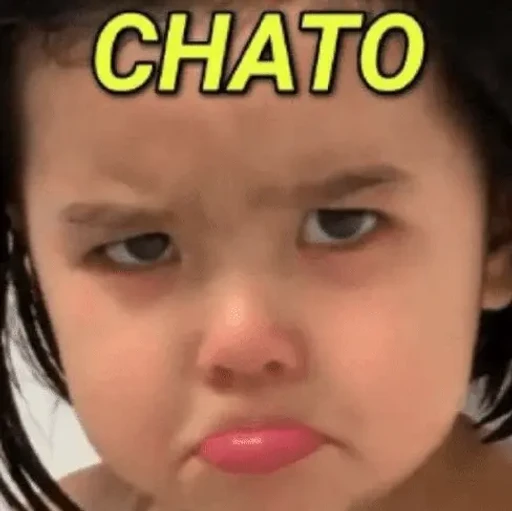 Figurinha: Chata
