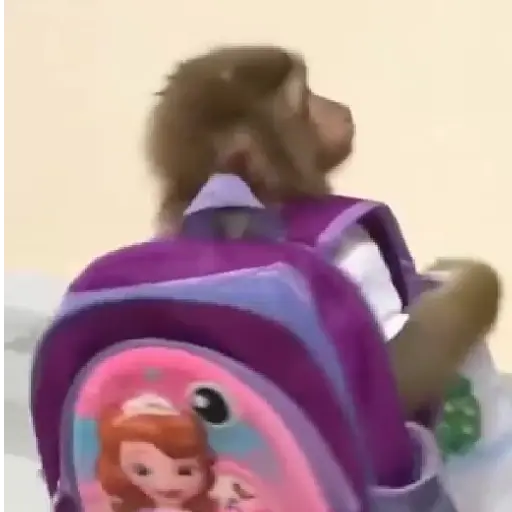 Figurinha: Macaco com mochila da Sofia