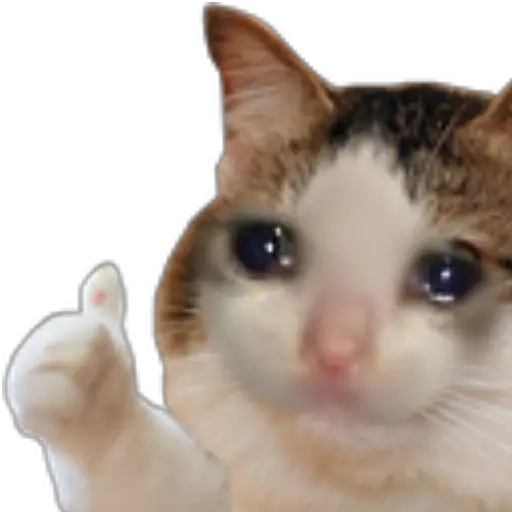 Figurinha: Gato chorando dando joinha