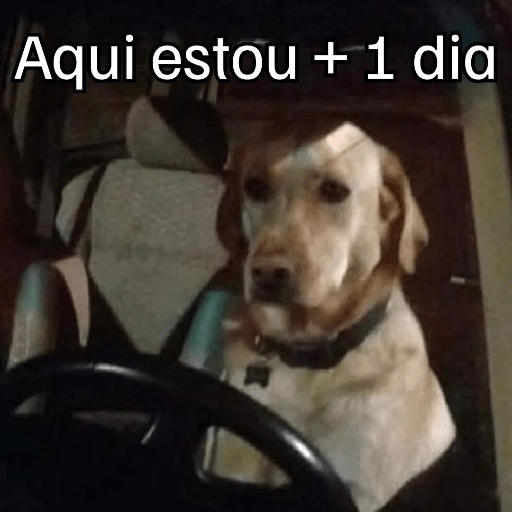 Figurinha: Cachorro dirigindo: mais um dia