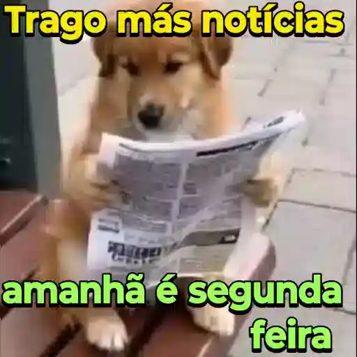 Figurinha: Cachorro lendo notícia: Segunda é amanhã