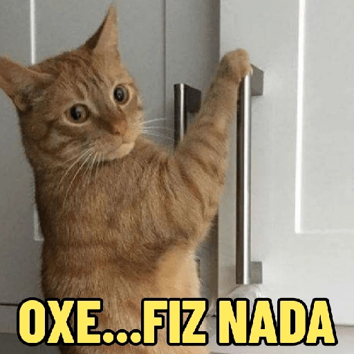 Figurinha: Gato Oxe FIZ NADA