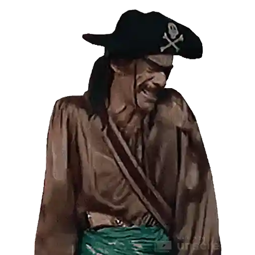 Figurinha: Pirata Maluco Rindo