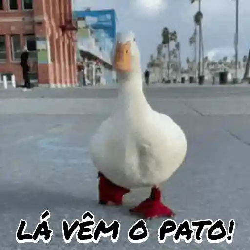Figurinha: Patolino com Galocha Vermelha