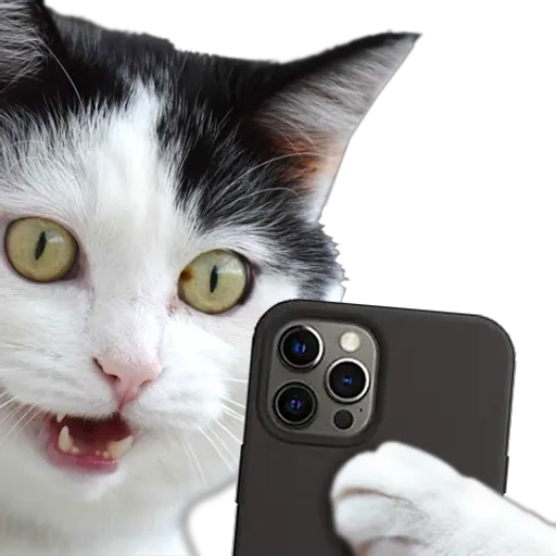 Figurinha: Gato Tirando Selfie